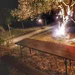 Casa Cilento Nel Verde Dom wakacyjny *