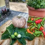Casa Cilento Nel Verde Dom wakacyjny Rutino