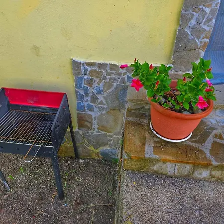 Casa Cilento Nel Verde * Rutino
